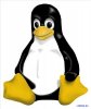 Курс лекций Linux (Браво Михаил/2007)