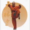   -   / Shaolin Warrior - Rou Quan (2007) DVDRip