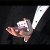 Sleight of hand with cards by Eddy Ray (2006) DVDRip